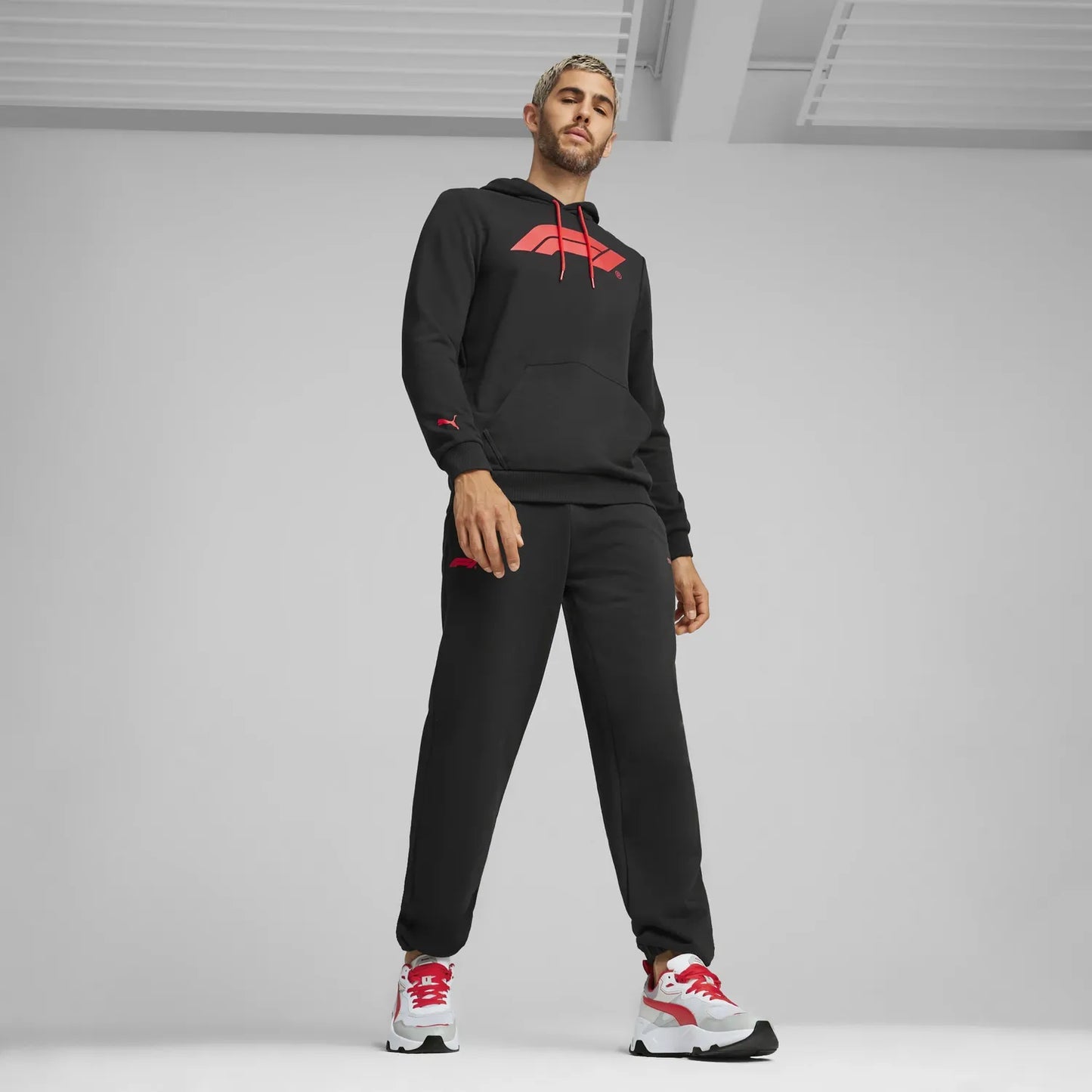 F1 ESS Logo Hoodie 🔥