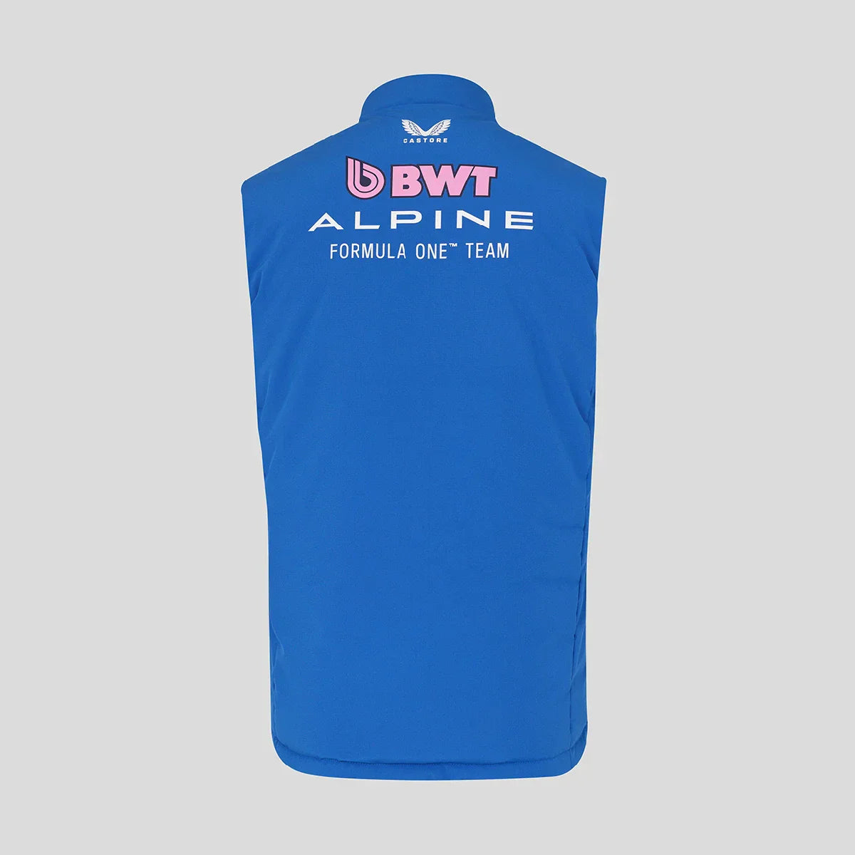 Alpine gilet, team, blue