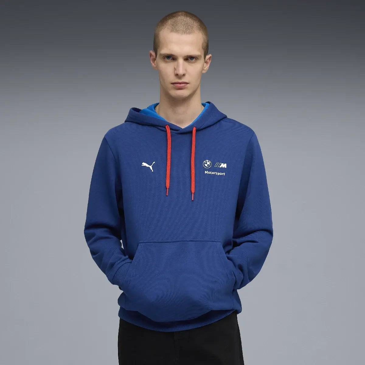 BMW MMS hoodie, essential, blue