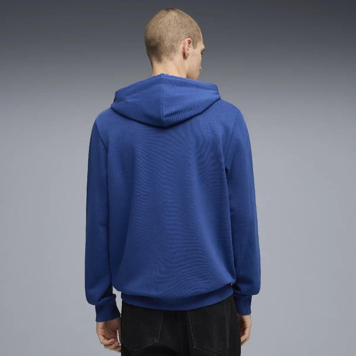 BMW MMS hoodie, essential, blue