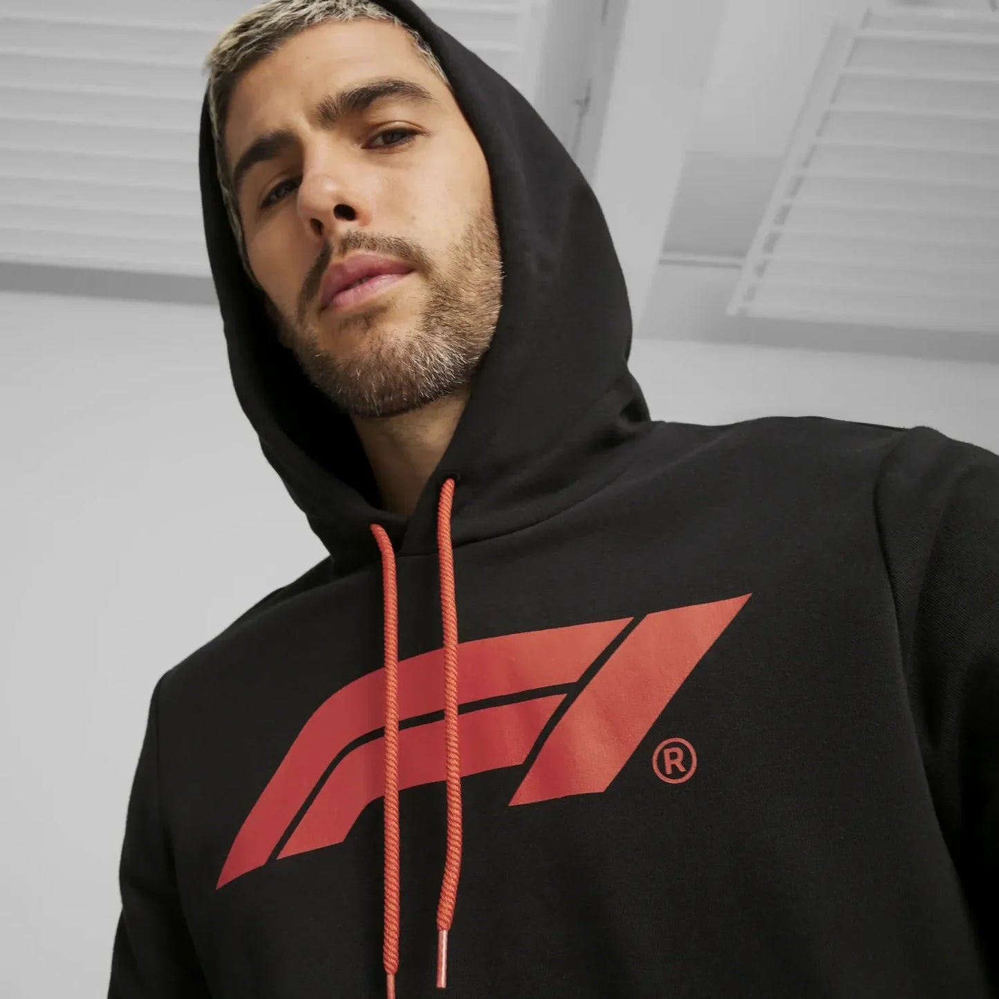 F1 ESS Logo Hoodie 🔥