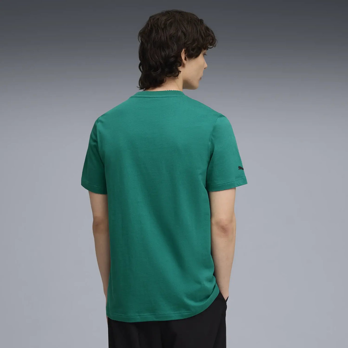 Aston Martin t-shirt, Essential, big logo, green