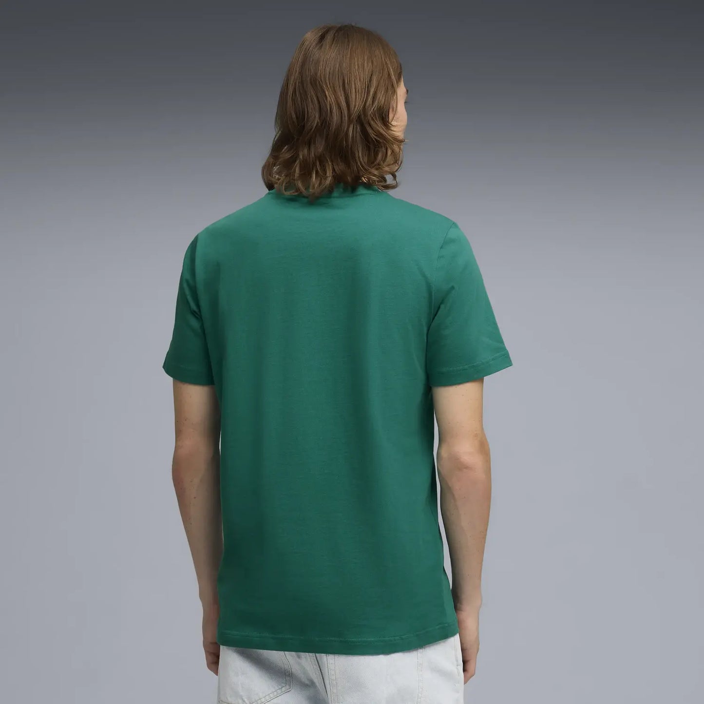Aston Martin t-shirt, Essential, regular, green
