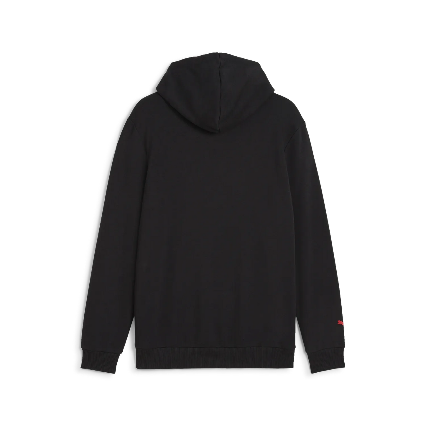 F1 ESS Logo Hoodie 🔥