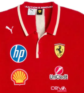 Ferrari SE Team Knit Polo, Dark Cherry 🔥